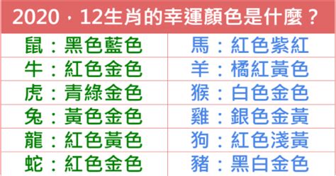 生肖虎幸運色|生肖虎性格優缺點、運勢深度分析、年份、配對指南